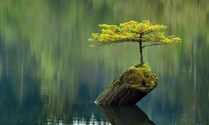 面对“失去的十年”，纸媒能否绝处逢生，触底反弹