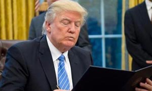 经济大佬为何对美国限制移民反应如此强烈