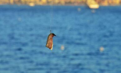 用好“鱼饵”，线上低成本拓客