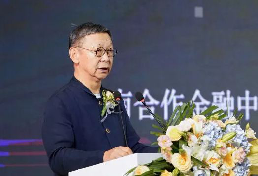 南南合作金融中心主席、原中国银监会副主席 蔡鄂生
