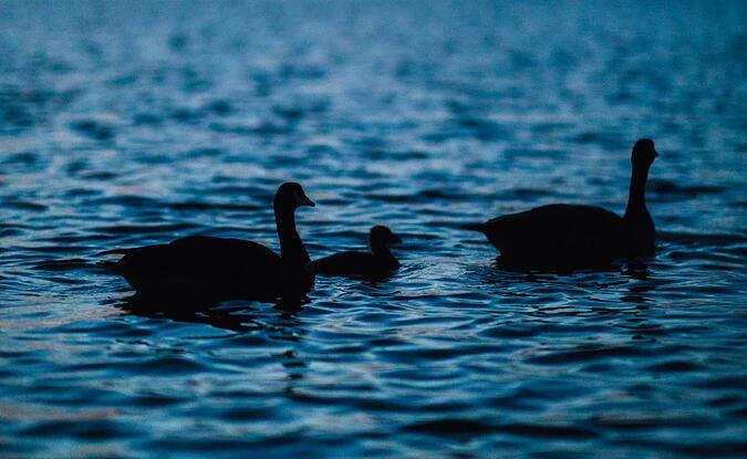 图片来源:Unsplash  作者:ninjason 图片来源:Unsplash  作者:ninjason