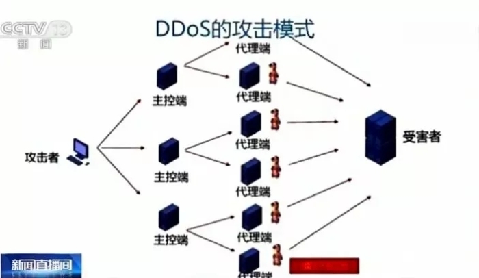 640.webp (6)