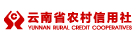 云南省农村信用社