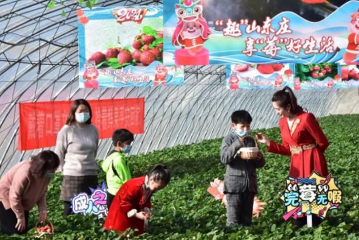北京农商银行守护“莓”好 助力乡村振兴