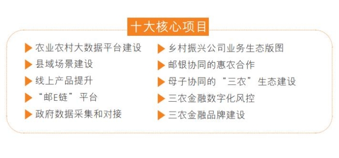 十大核心项目