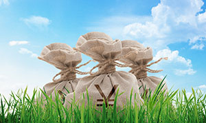 中国光大银行深耕普惠金融以“金融底肥”滋养乡村振兴沃野良田