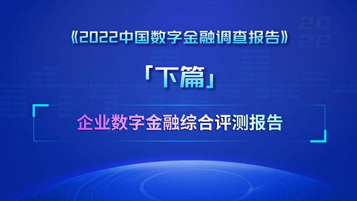调查报告