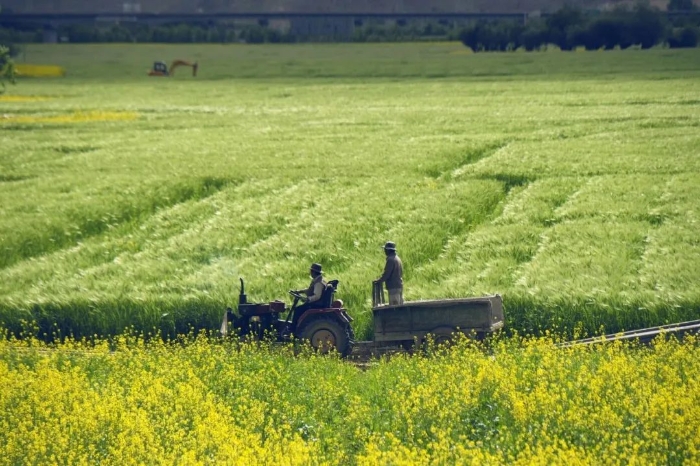 微信图片_20230704094813